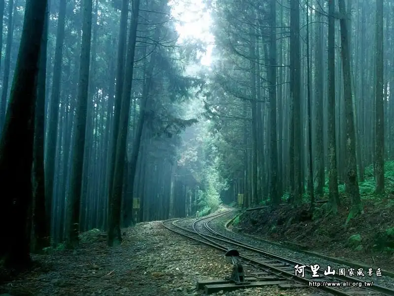 Đài Loan – Điểm đến lý tưởng của hội họp và y tế 12 wanderlust_tips_diem_den_ly_tuong_hoi_hop_va_y_te_8