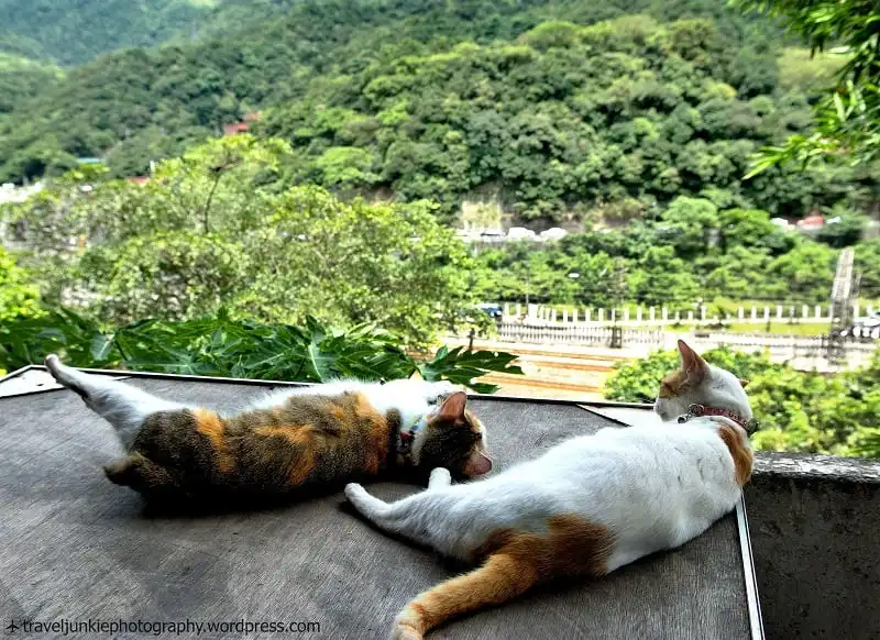 wanderlust_tips_ghe_tham_lang_meo_Houtong_1