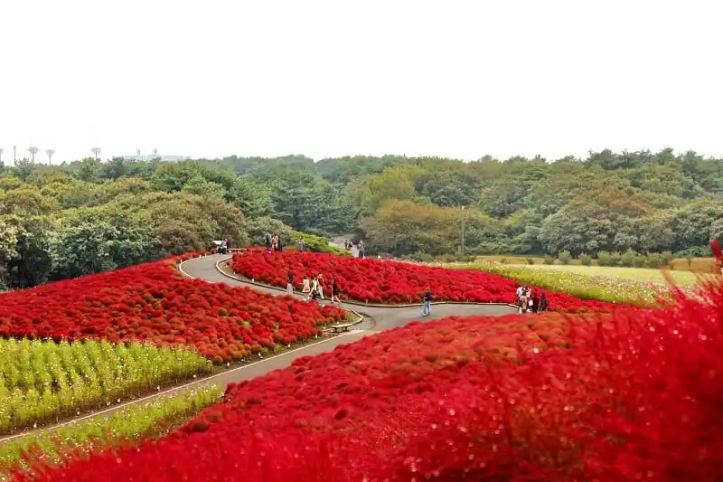 wanderlust_tips_hitachi_cam_xuc_khong_biet_goi_ten_1