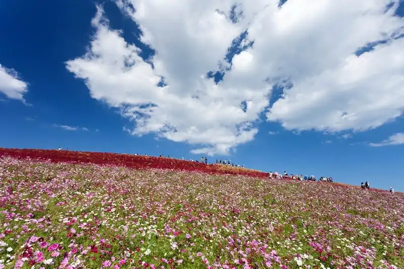 wanderlust_tips_hitachi_cam_xuc_khong_biet_goi_ten_4