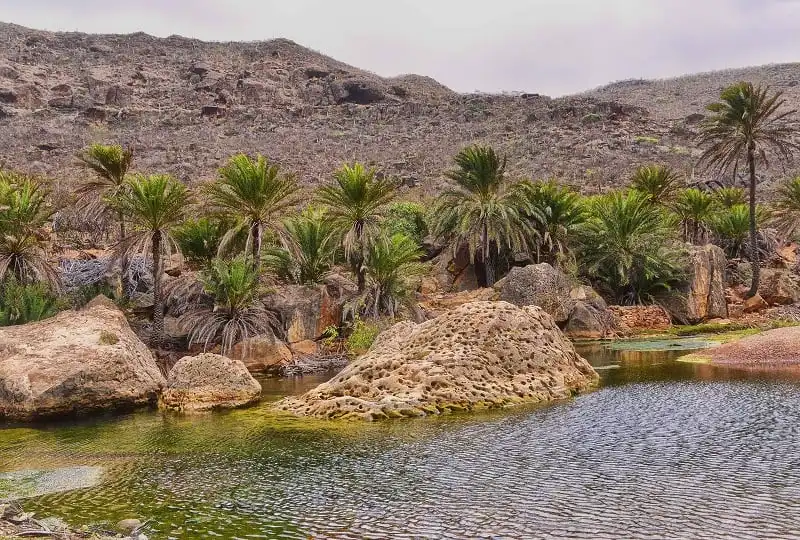 wanderlust_tips_kham_pha_Socotra_dao_ky_la_1
