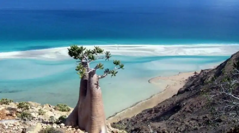 wanderlust_tips_kham_pha_Socotra_dao_ky_la_3