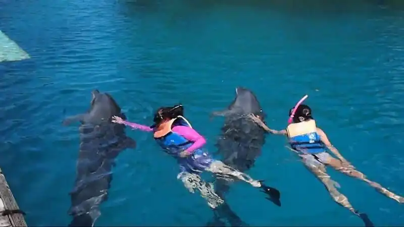 wanderlust_tips_kinh-nghiem-du-lich-dao-Palau-thien-duong-nhiet-doi-Thai-Binh-Duong-8