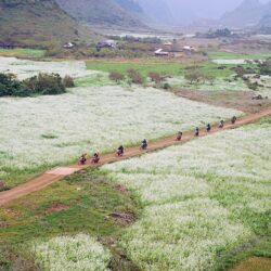 wanderlust tips kinh nghiem du lich moc chau mua cai trang 3