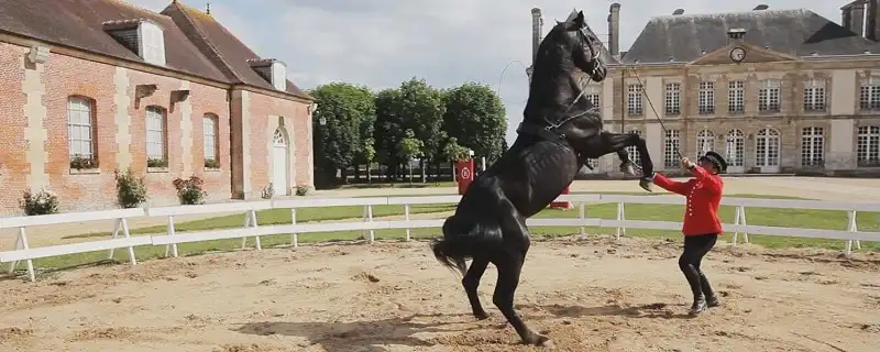 Normandy - vùng đất huyền thoại của người Pháp 11 wanderlust_tips_nhung-dieu-phai-lam-o-Normandy-7