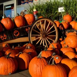 wanderlust tips nhung diem vui choi halloween o ha noi 4