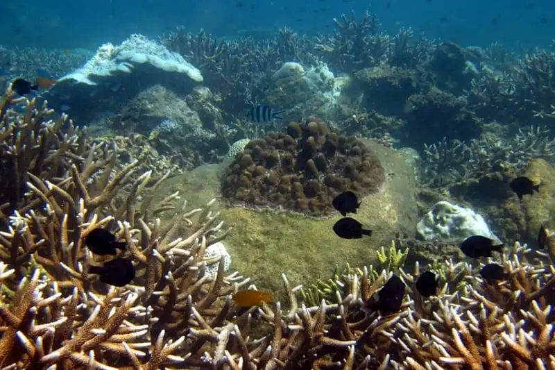 Khám phá vẻ đẹp khác biệt của đảo Thổ Chu 7 wanderlust_tips_nhung_hinh_anh_dep_ve_tho_chu_10