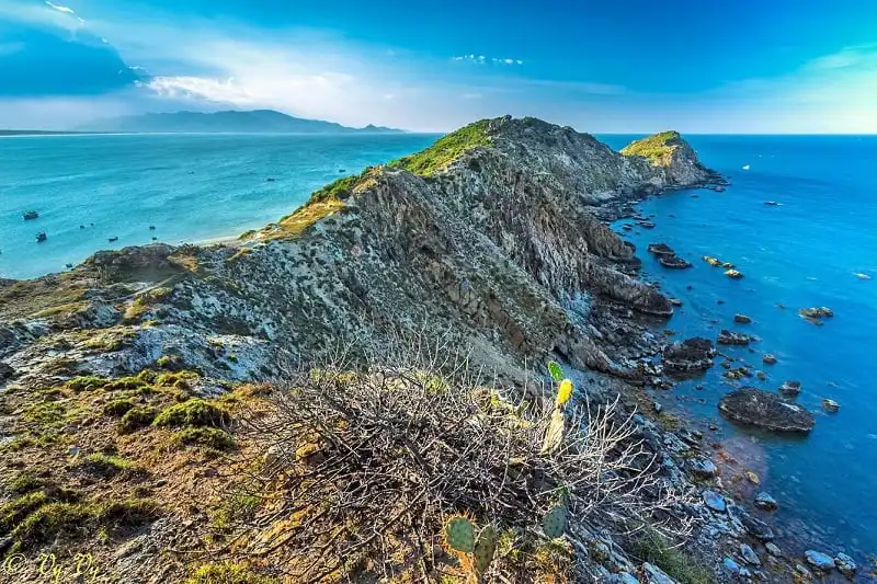 wanderlust_tips_quy_nhon_diem_den_mua_thu_2