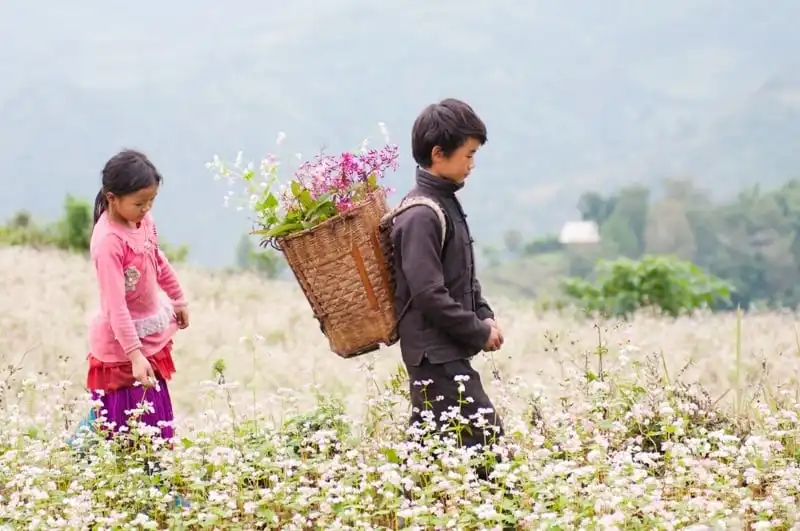 wanderlust_tips_sac_hong_cao_nguyen_da_ha_giang_3