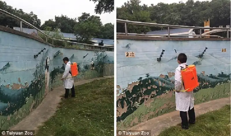 wanderlust_tips_shock-voi-hinh-anh-gau-truc-nhat-rac-an-trong-so-thu-Trung-Quoc-2.0