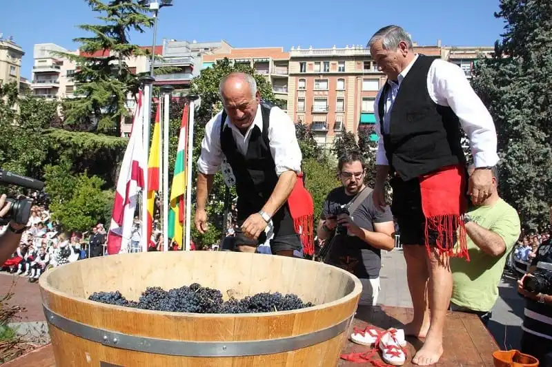 Đắm say sắc vàng mùa thu nước Đức 7 wanderlust_tips_thu_vang_nuoc_duc_2