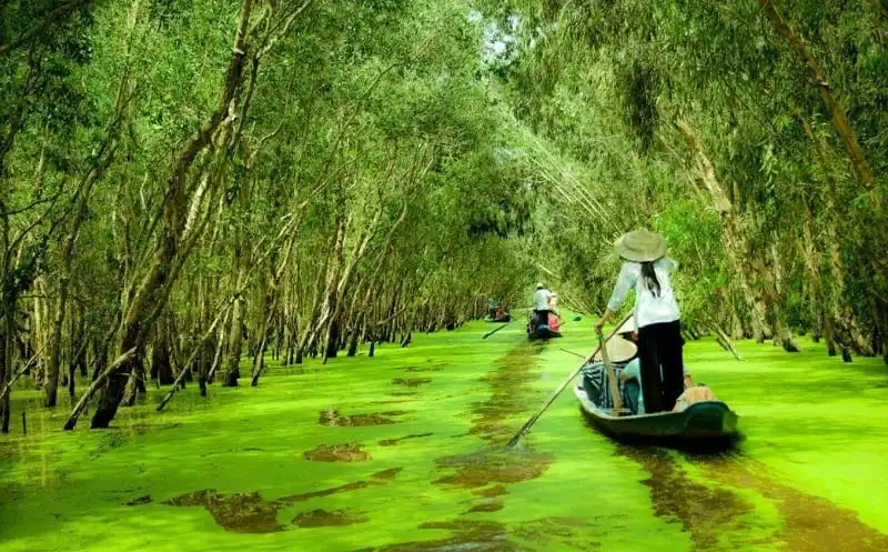 wanderlust_tips_trai_nghiem_mien_tay_mua_nuoc_noi_1