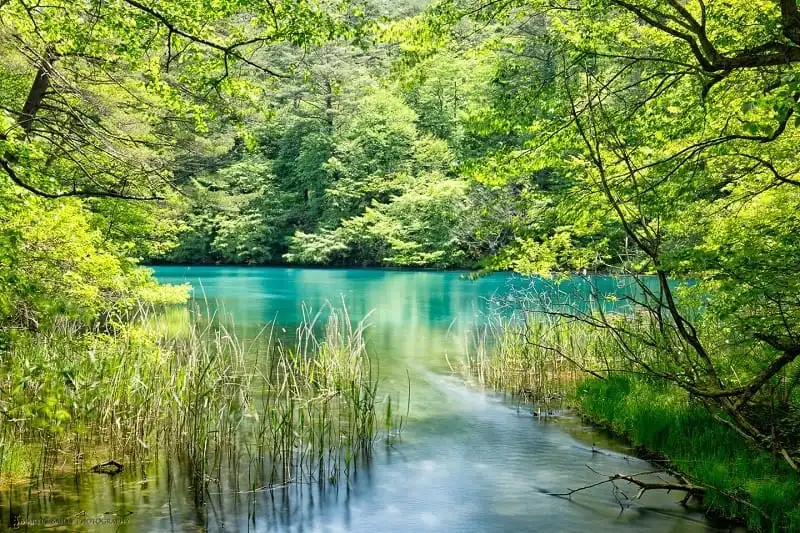 Mê hoặc vẻ đẹp kỳ ảo của hồ ngũ sắc ở Nhật Bản 9 Bishamon Numa (Pond)