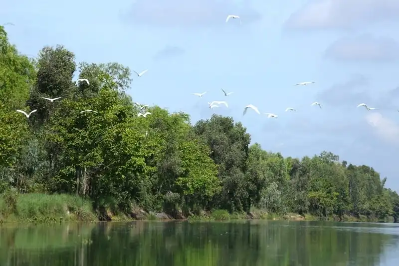 wanderlust_tips_ve_tram_chim_mua_nuoc_noi_5