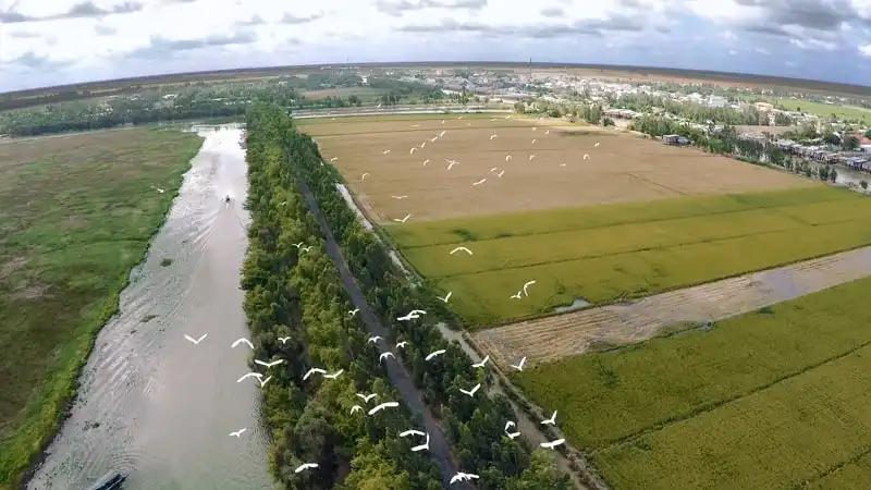 wanderlust_tips_ve_tram_chim_mua_nuoc_noi_7