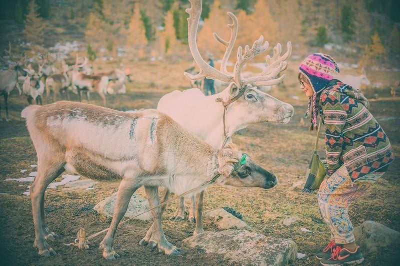 Hành trình gian nan của cô gái Việt tới bộ lạc tuần lộc cuối cùng ở Mông Cổ 5 wanderlust tip kinh ngac hanh trinh cua co gai viet toi bo lac tuan loc cuoi cung o mong co 4
