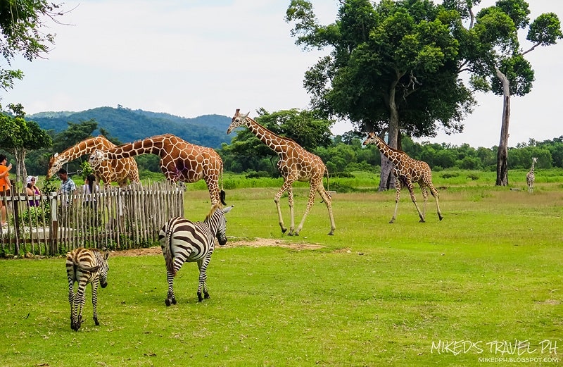 wanderlust tips 10 diem den thien nhien hoang da chau a 7