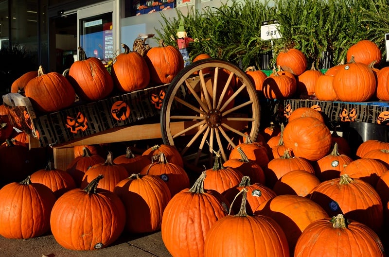 wanderlust tips nhung diem vui choi halloween o ha noi 4