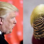 Du khách đổ xô tới xem chim trĩ có mái tóc giống ông Trump