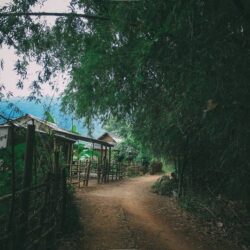 wanderlust tips hoa cai moc chau trong nhung ngay dong lanh dau tien 1