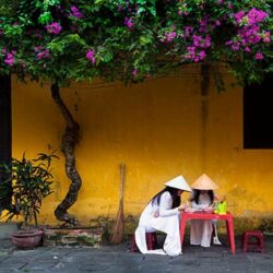 wanderlust tips hoi an nhuom vang day me hoac tren bbc 9