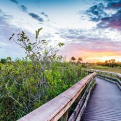 wanderlust tips nhung diem den tot nhat nen di trong thang 12 11