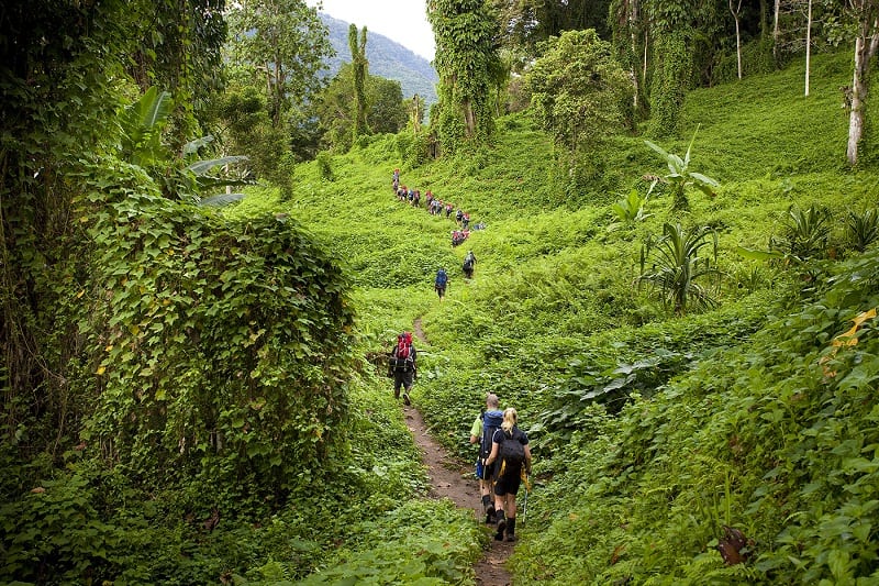 Kinh nghiệm du lịch Papua New Guinea – miền đất chưa được khám phá