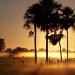 Kinh nghiệm du lịch Paraguay – trải nghiệm một Nam Mỹ đích thực