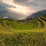 wanderlust tips chiem nguong 19 buc anh tuyet dep ve ruong bac thang 16