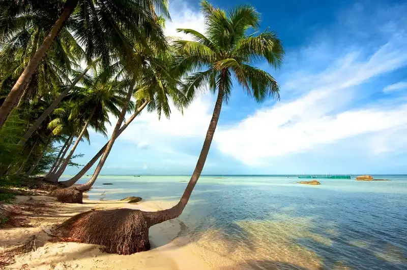 8-diem-nen-den-buoi-chieu-tai-Phu-Quoc-wanderlusttips