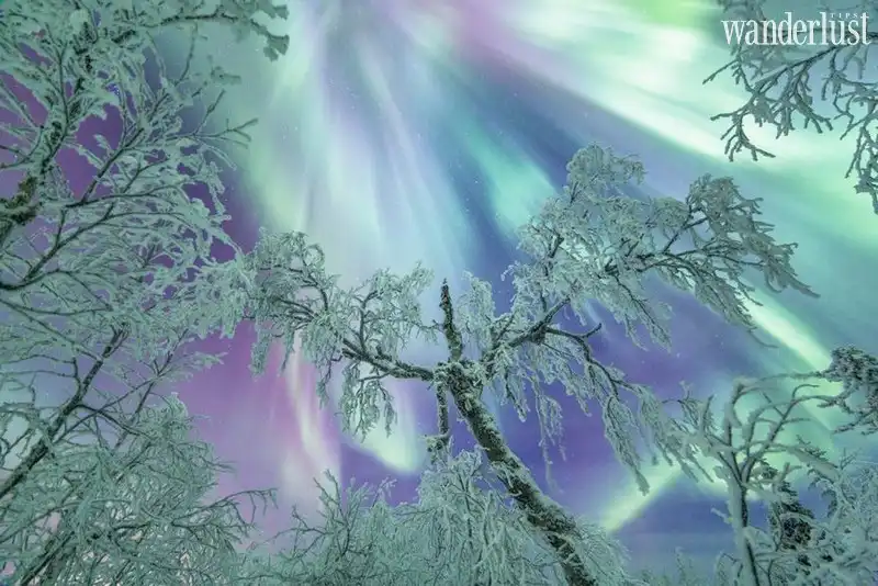 Wanderlust Tips kham pha lapland diem den day bi cuon hut 13