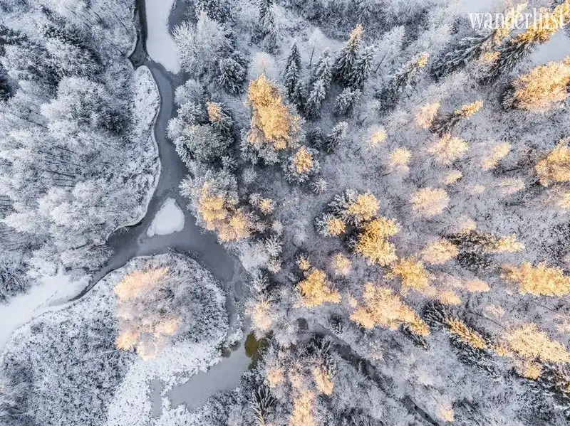 Wanderlust Tips kham pha lapland diem den day bi cuon hut 15