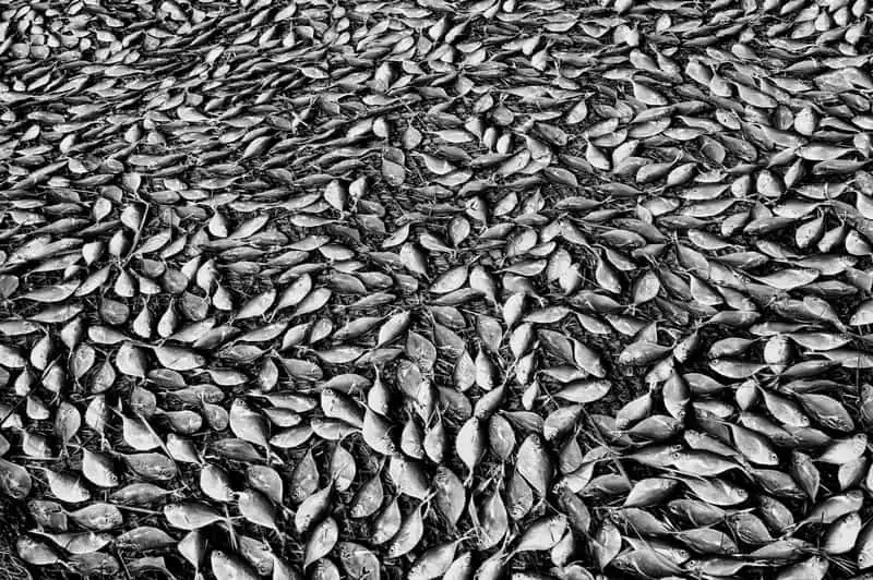 Wanderlust_tips_Elmina-lang-chai-truyen-thong-o-Ghanai-13