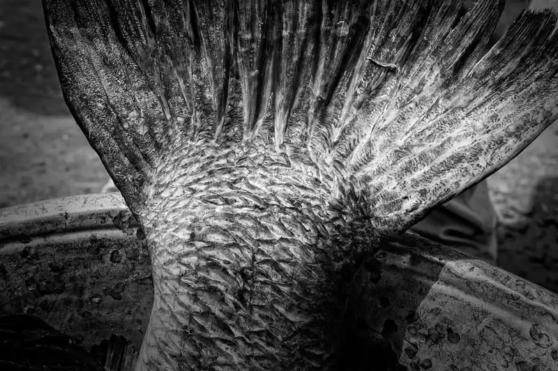 Wanderlust_tips_Elmina-lang-chai-truyen-thong-o-Ghanai-4