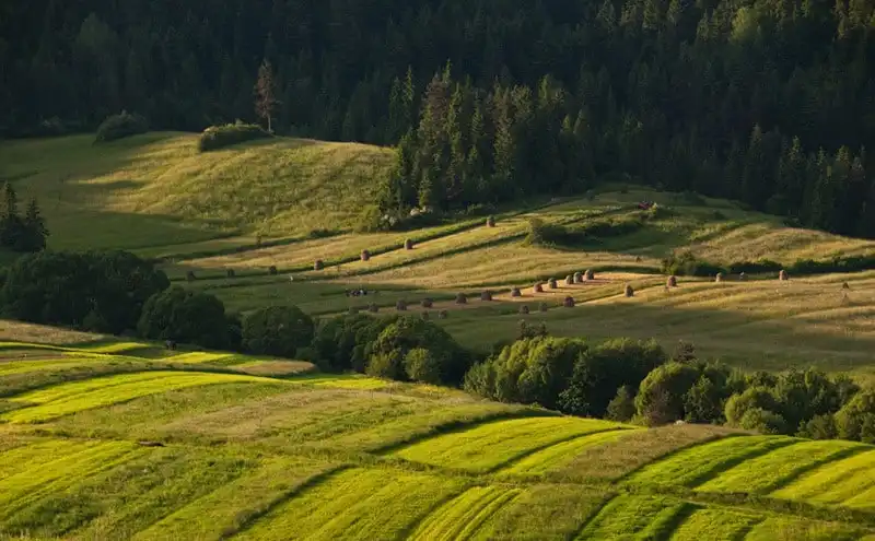 Wanderlust_tips_Kinh-nghiem-du-lich-Ba-Lan-duyen-dang-Trung-Au-3