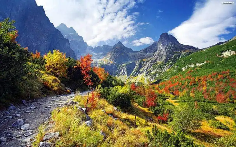 Wanderlust_tips_Kinh-nghiem-du-lich-Ba-Lan-duyen-dang-Trung-Au-4