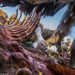 Wanderlust tips Lang nguoi nhung buc anh dep nhat National Geographic 3