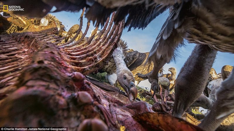 Wanderlust tips Lang nguoi nhung buc anh dep nhat National Geographic 3