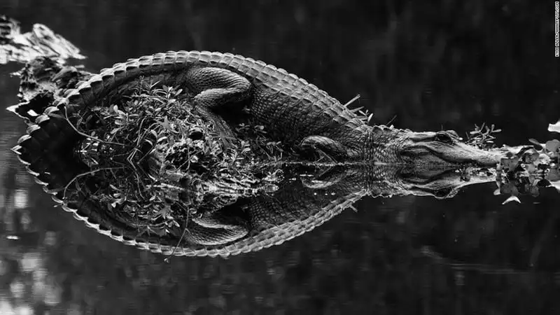 Wanderlust_tips_Me-man-anh-du-lich-dep-nhat-2016-13