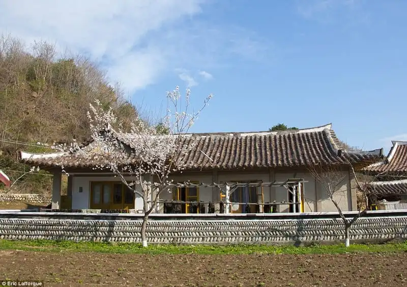 Wanderlust_tips_Nghi-homestay-trong-lang-chai-o-Bac-Trieu-Tien-2