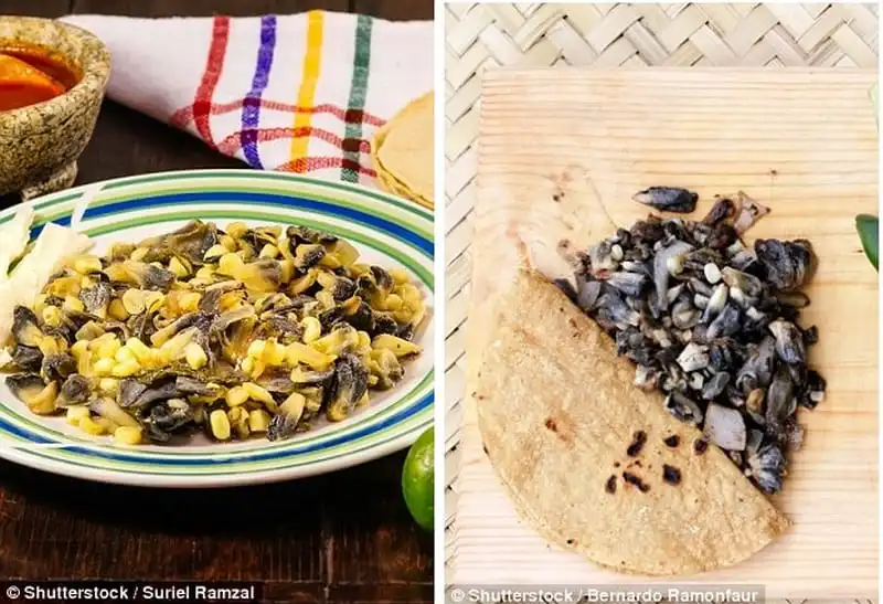 Wanderlust_tips_Ruou-ngam-VietNam-thuoc-top-20-mon-an-kinh-di-nhat-the-gioi-18