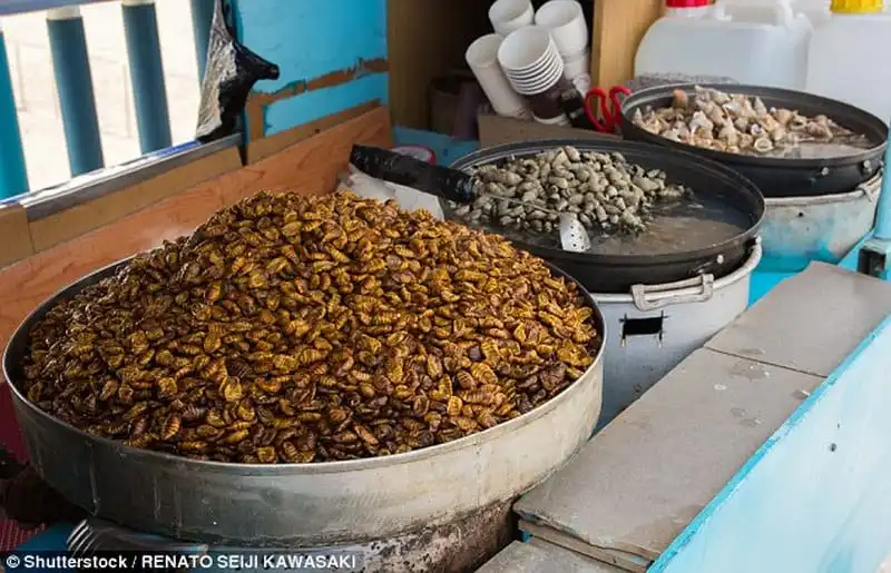 Wanderlust_tips_Ruou-ngam-VietNam-thuoc-top-20-mon-an-kinh-di-nhat-the-gioi-19