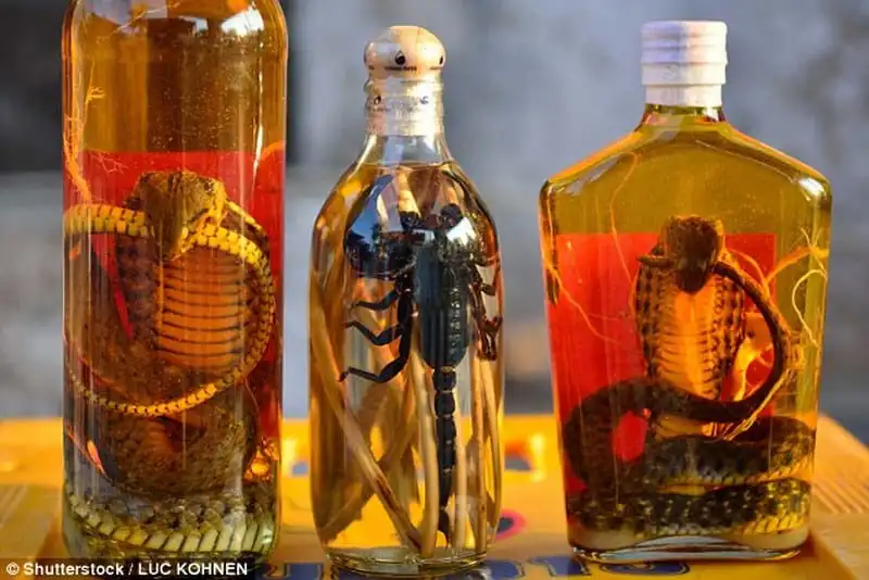 Wanderlust_tips_Ruou-ngam-VietNam-thuoc-top-20-mon-an-kinh-di-nhat-the-gioi-2