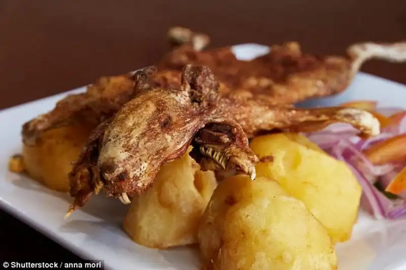 Wanderlust_tips_Ruou-ngam-VietNam-thuoc-top-20-mon-an-kinh-di-nhat-the-gioi-5