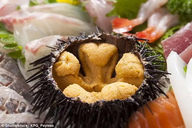 Wanderlust_tips_Ruou-ngam-VietNam-thuoc-top-20-mon-an-kinh-di-nhat-the-gioi-9