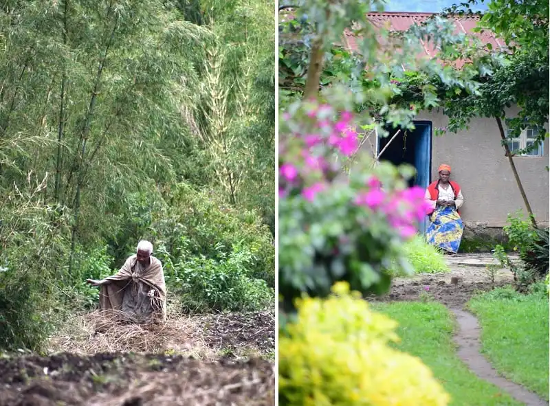 Wanderlust_tips_nhung-buc-anh-khien-ban-muon-bay-toi-Rwanda-ngay-lap-tuc- (11)