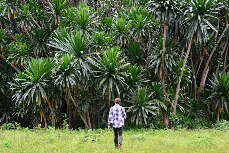 Wanderlust_tips_nhung-buc-anh-khien-ban-muon-bay-toi-Rwanda-ngay-lap-tuc- (19)