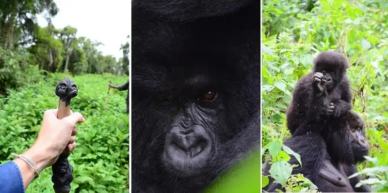 Wanderlust_tips_nhung-buc-anh-khien-ban-muon-bay-toi-Rwanda-ngay-lap-tuc- (7)