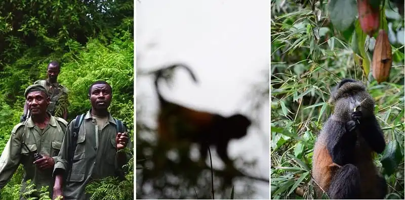 Wanderlust_tips_nhung-buc-anh-khien-ban-muon-bay-toi-Rwanda-ngay-lap-tuc- (9)