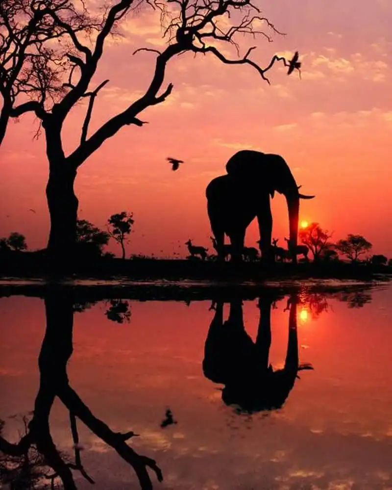 wanderlust-tips-12-buc-anh-thien-nhien-duoc-yeu-thich-nhat-instagram-nam-2016-13